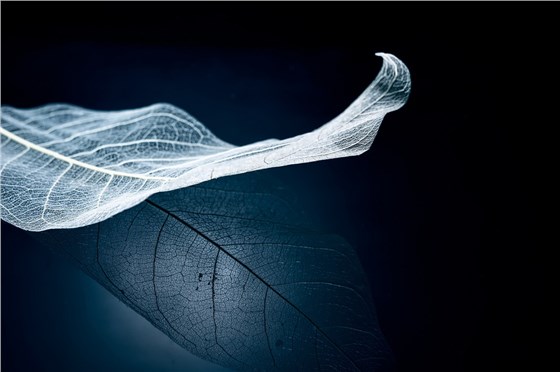 城市夜景燈光照明