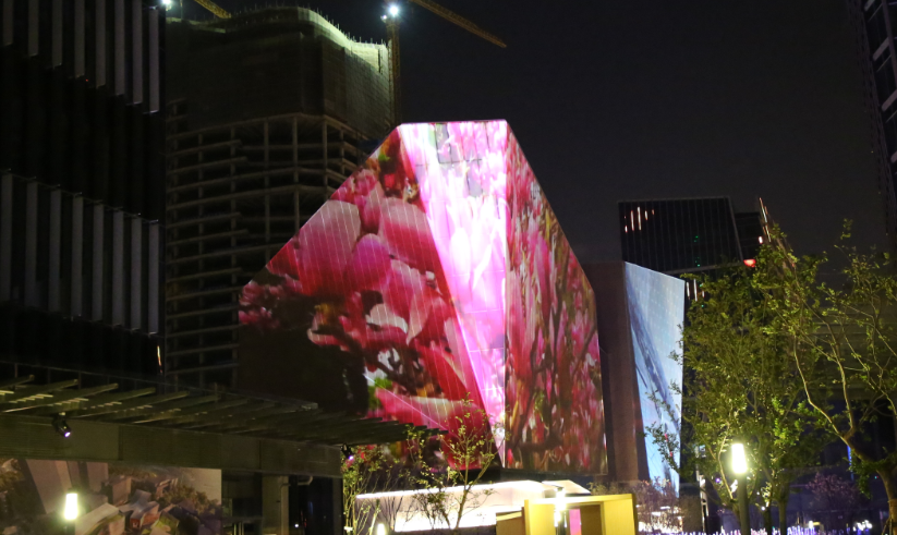 綻放新時代 綻放新時代