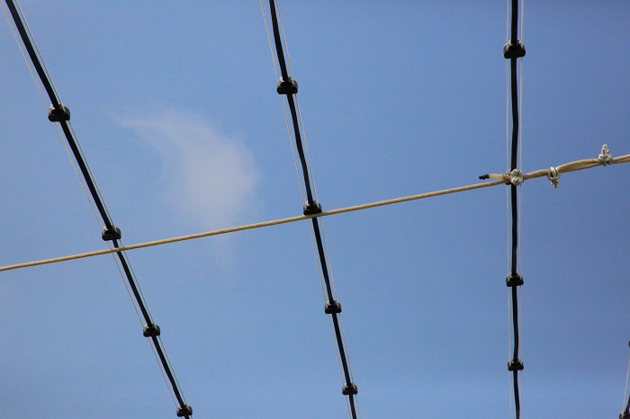 上海國際傳媒港 上海國際傳媒港