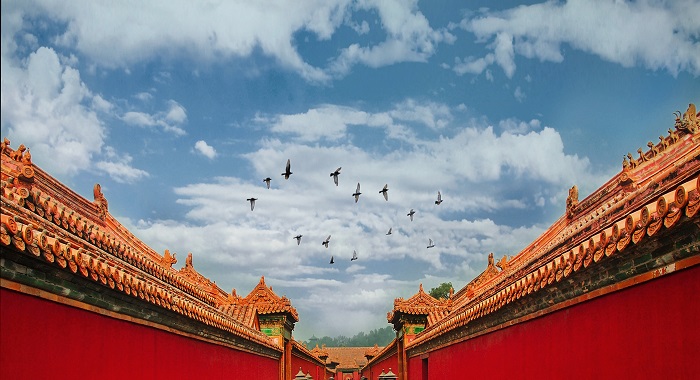 故宮燈光秀 故宮燈光秀