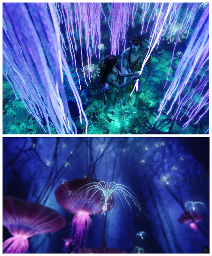 夜景亮化設(shè)計(jì) 夜景亮化設(shè)計(jì)