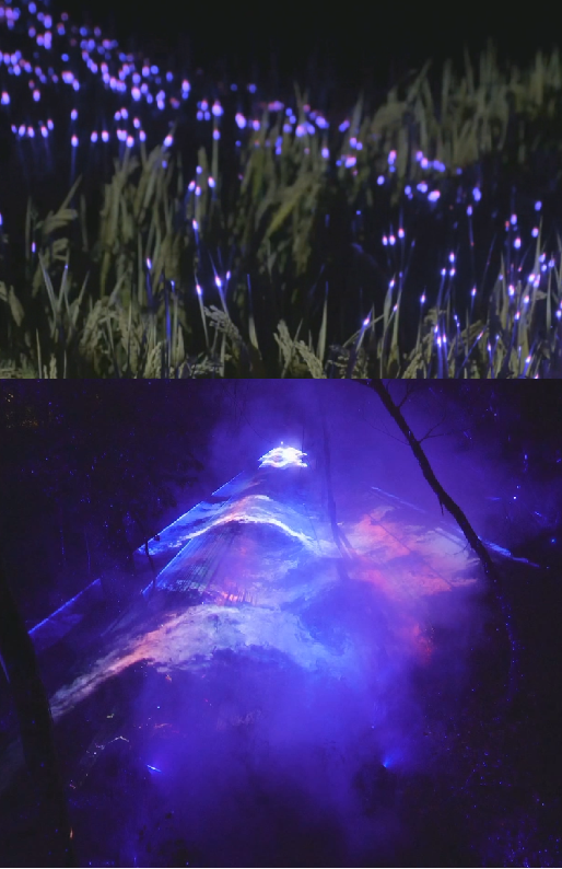 夜景亮化設(shè)計(jì) 夜景亮化設(shè)計(jì)