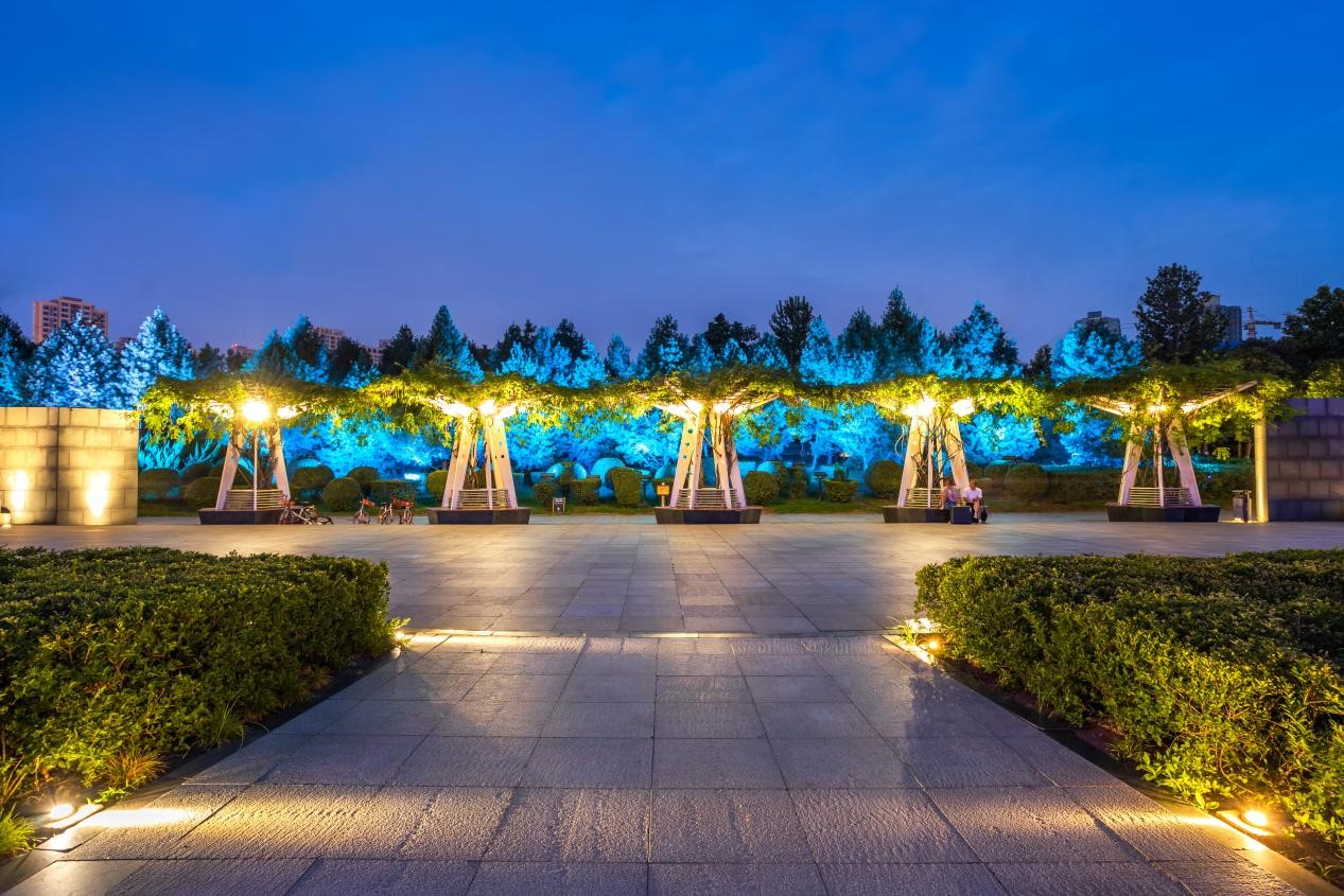 樹木亮化工程-2 樹木亮化工程-2