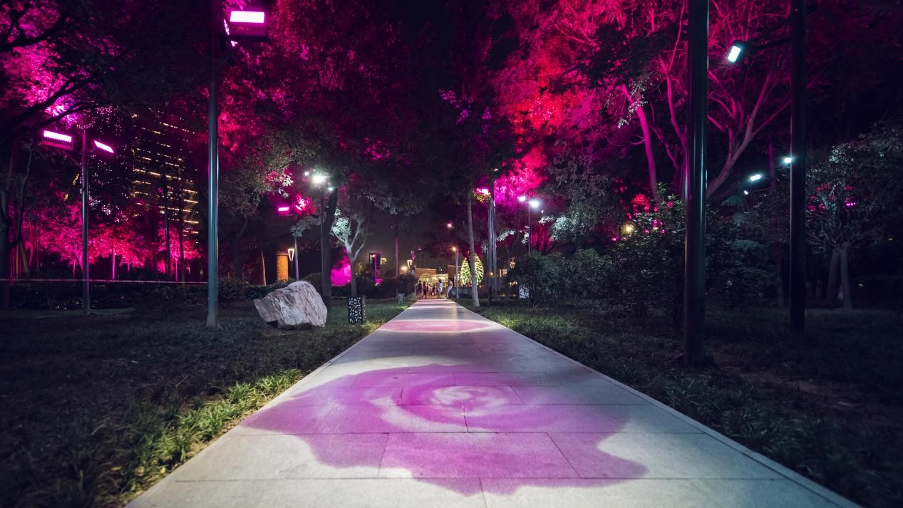 樹木亮化工程-3 樹木亮化工程-3