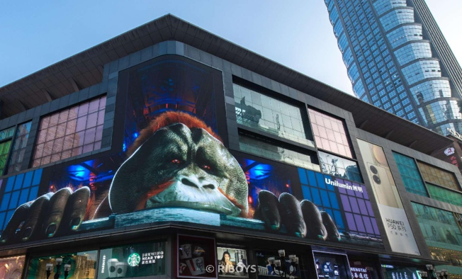 微信圖片_20231215114405 微信圖片_20231215114405