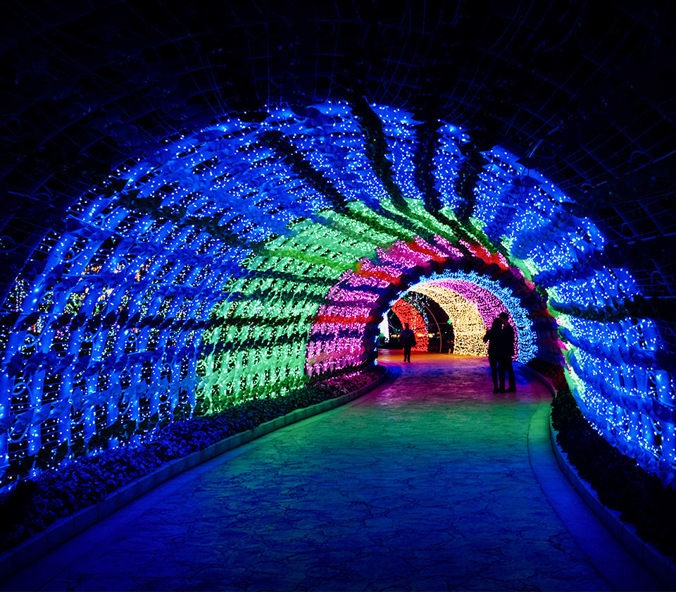 景觀照明方案 景觀照明方案