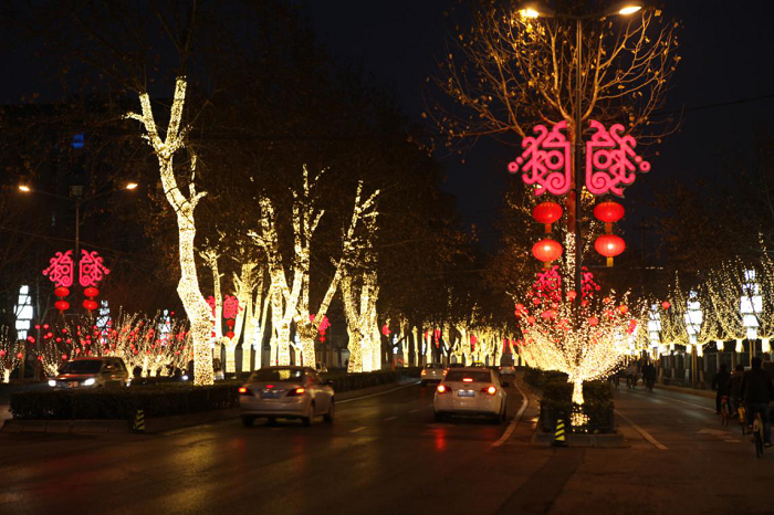 行道樹(shù) 行道樹(shù)