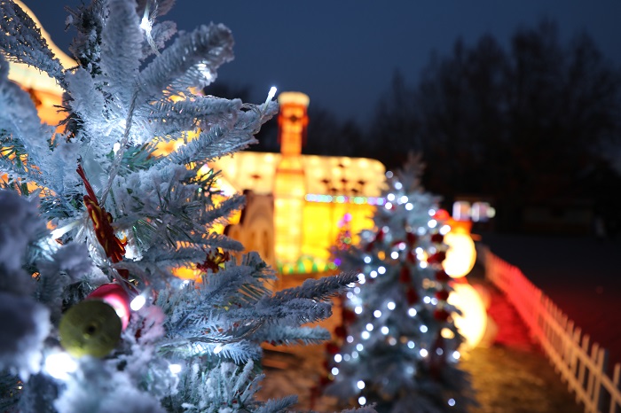 春節燈光 春節燈光