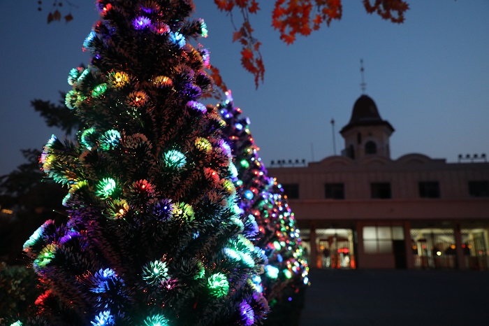 春節燈光 春節燈光