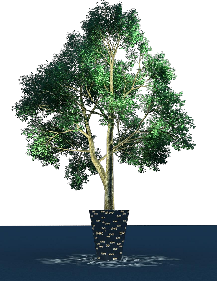 粉巷德福巷 粉巷德福巷