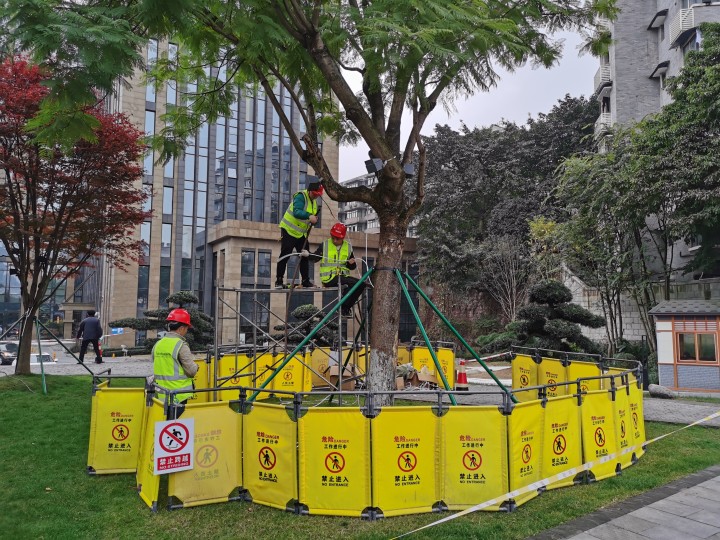 中山四路亮化工程 (4) 中山四路亮化工程 (4)