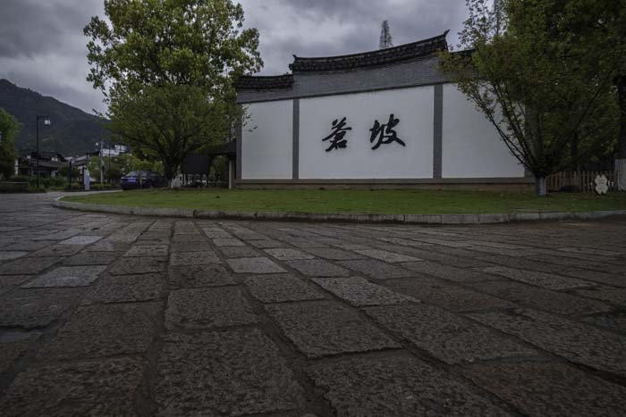 DSC_1819-編輯 DSC_1819-編輯